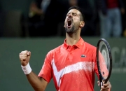 开云体育中国-关于美国网球队血洗欧洲网球队，德约科维奇高光表现的信息