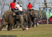 开云下载-尼泊尔队在国际足球赛事中斩获成功的简单介绍