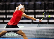 开云体育中国-法网力克戴维斯杯，鲁德带队取胜的简单介绍