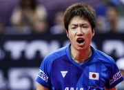 开云下载-关于日本队横扫葡萄牙队，张继科带队取胜的信息