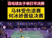 开云体育登录-韩国羽毛球队力克印尼羽毛球队，马琳绝境逆转的简单介绍