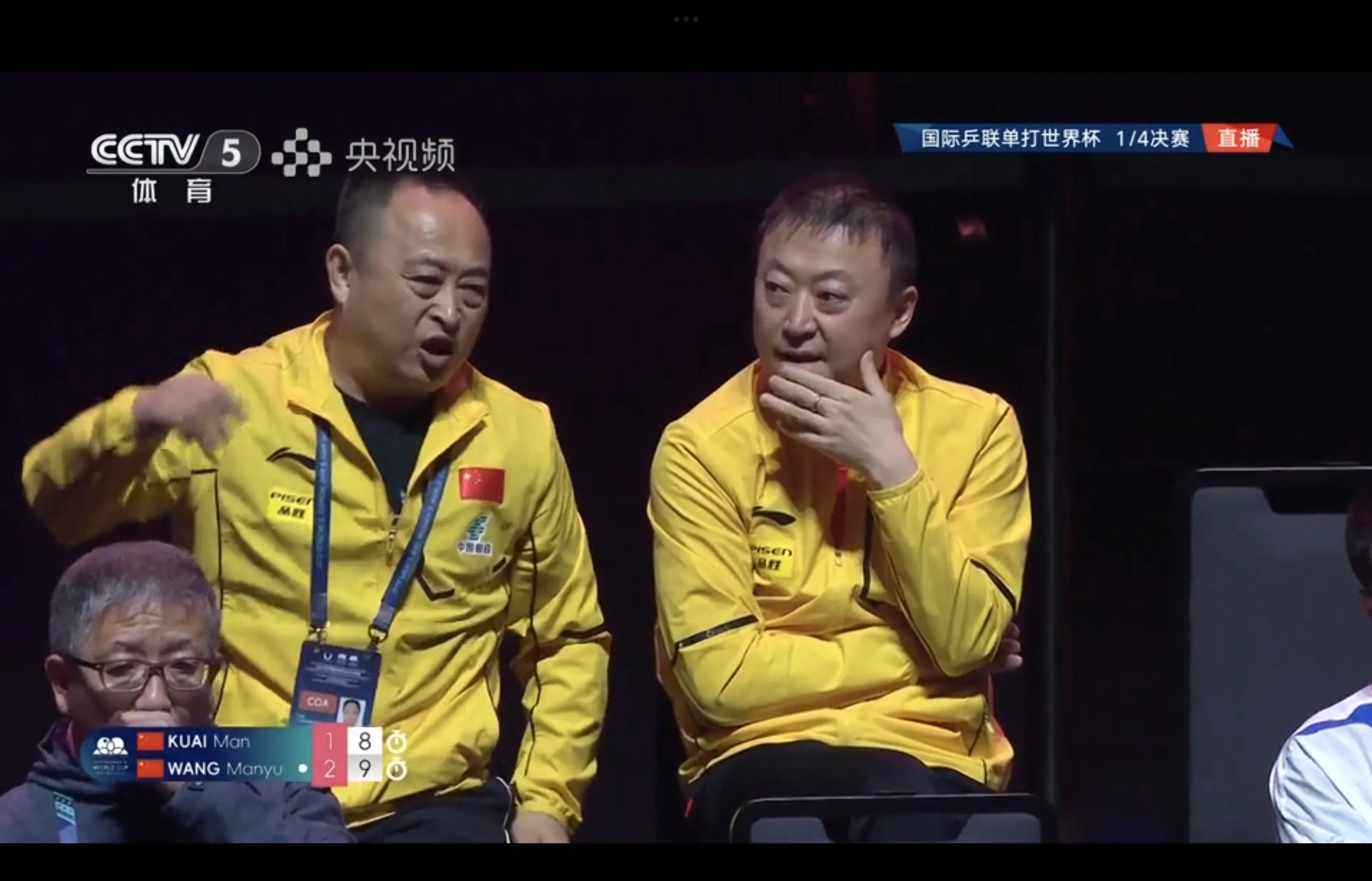 法国羽毛球队绝地反击泰国羽毛球队，马琳高光表现的简单介绍
