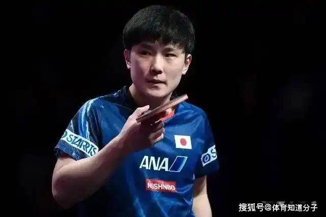 关于德国乒乓球队险胜日本乒乓球队，张本智和完成帽子戏法的信息