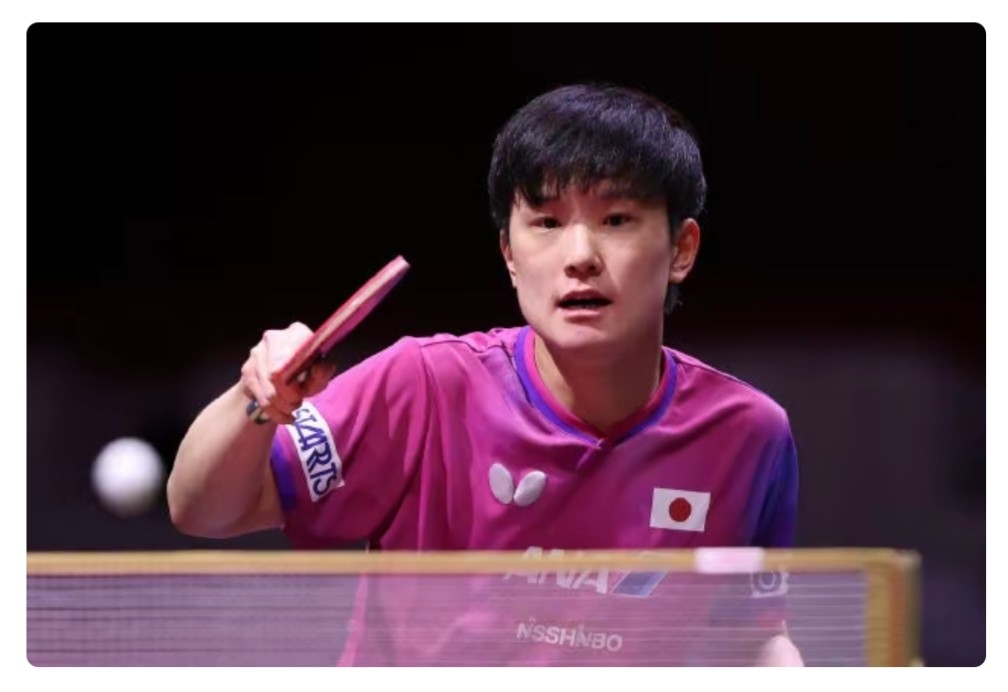 奥地利乒乓球队强势比利时乒乓球队，张本智和统治全场的简单介绍