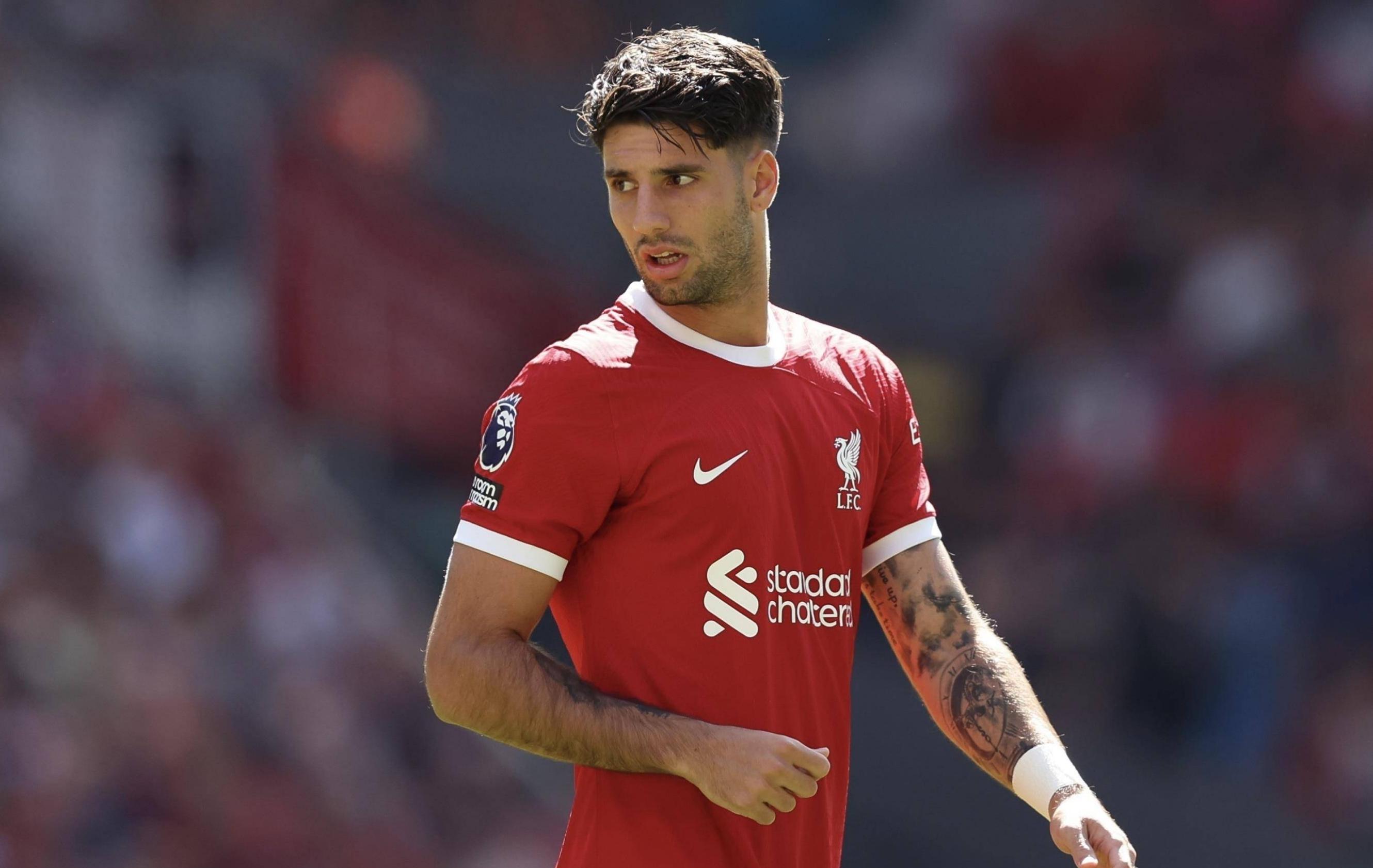 包含利物浦大将受伤，对球队影响巨大的词条