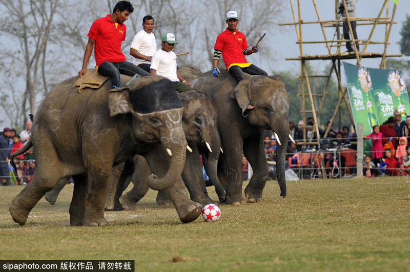 尼泊尔队在国际足球赛事中斩获成功的简单介绍 尼泊尔队在国际足球赛事中斩获成功的简单介绍