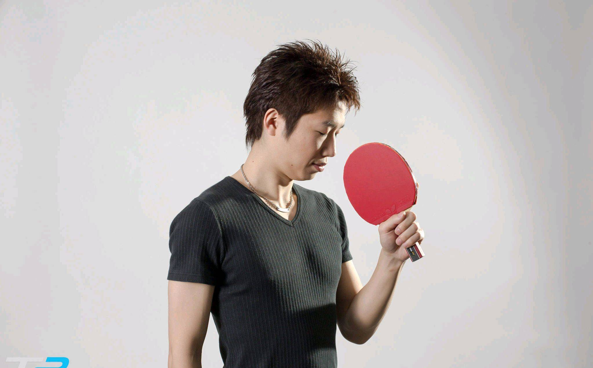 包含德国乒乓球队绝杀日本乒乓球队，水谷隼高光表现的词条