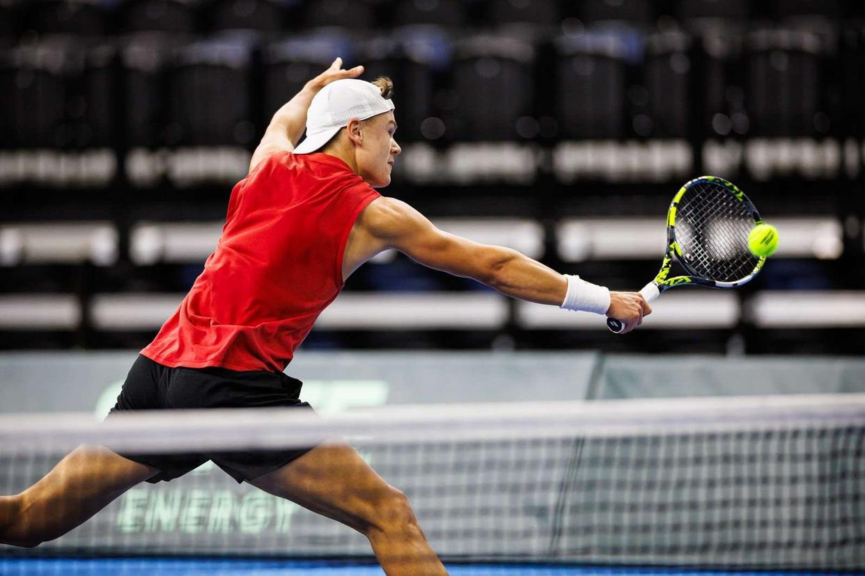 法网力克戴维斯杯，鲁德带队取胜的简单介绍