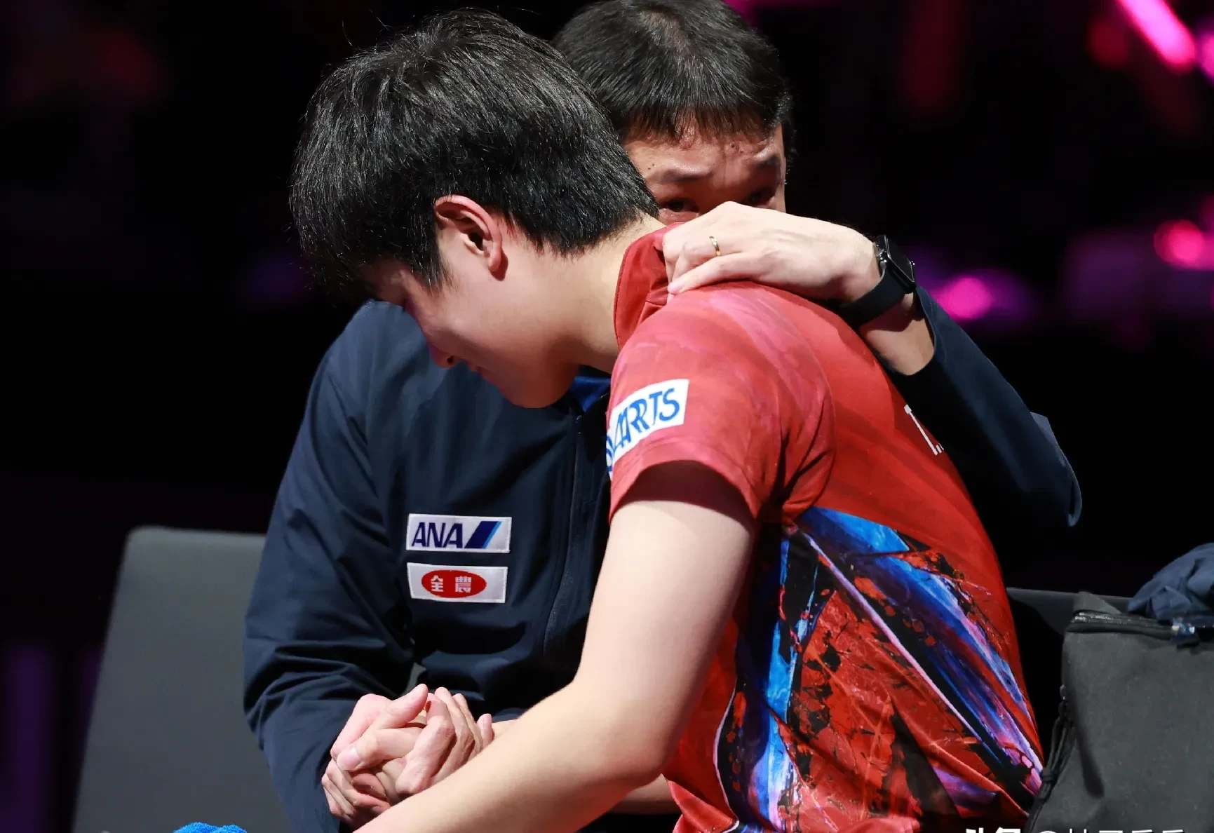 包含瑞典队横扫波兰队，张本智和统治全场的词条